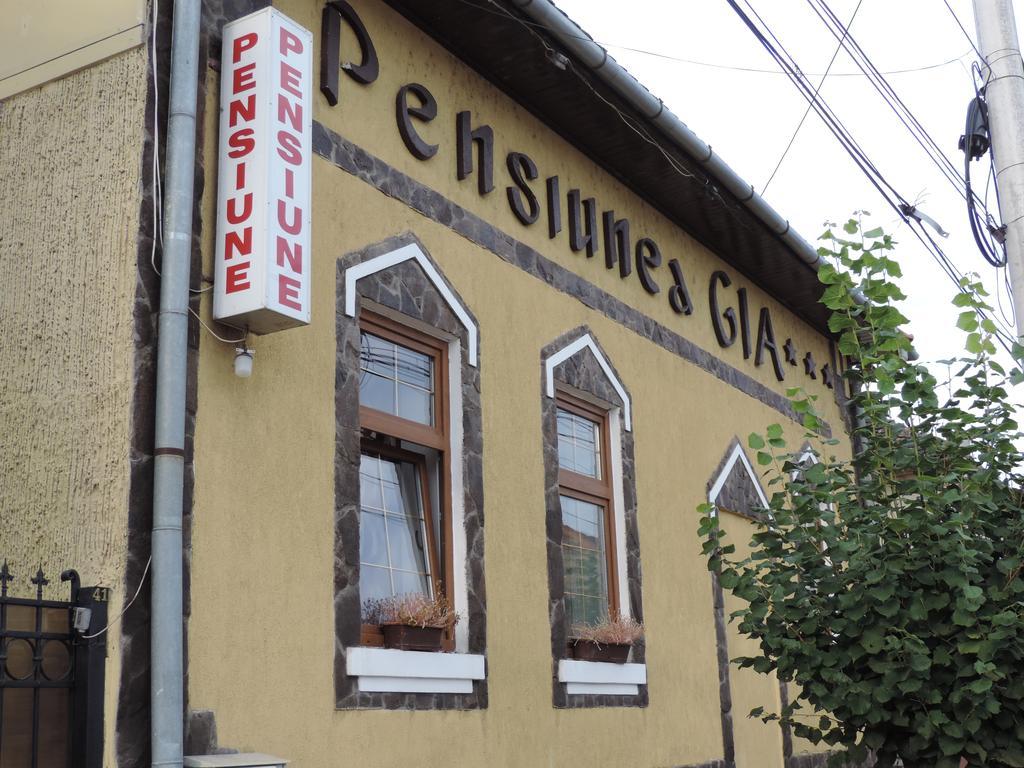 Pensiunea Gia Sighişoara Exterior foto